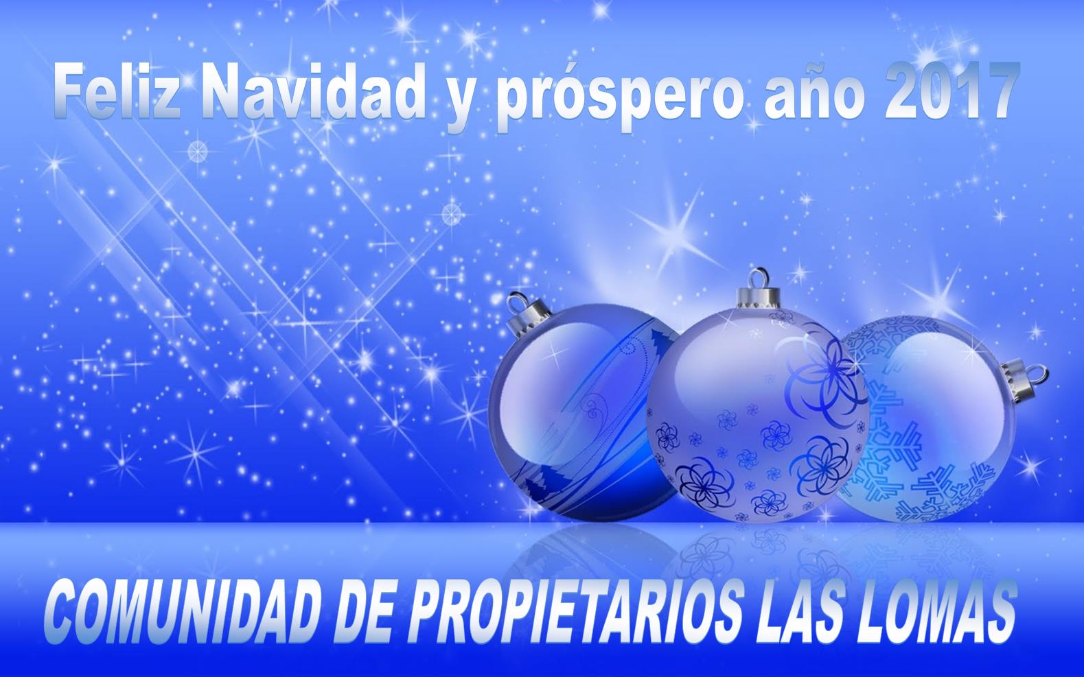 LA COMUNIDAD DE PROPIETARIOS LES DESEA FELIZ NAVIDAD…