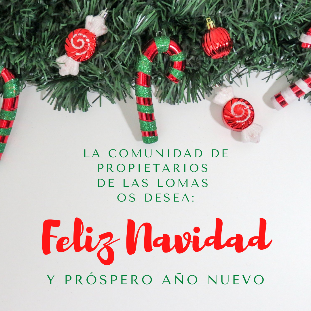 FELIZ NAVIDAD