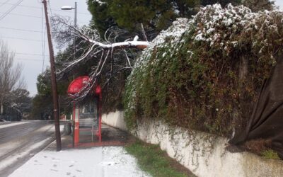 PRECAUCIÓN FUERTES VIENTOS EL DÍA 05-02-2026 DE 8:00 A 18 H.