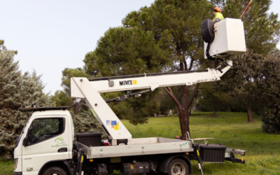 CAMPAÑA ANUAL DE CONTROL DE PROCESIONARIA DEL PINO